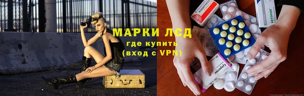 шишки Алзамай