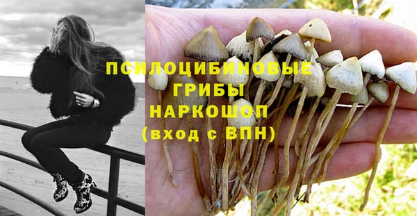 шишки Алзамай