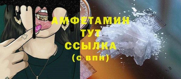 молекула духа Михайлов