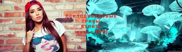 шишки Алзамай