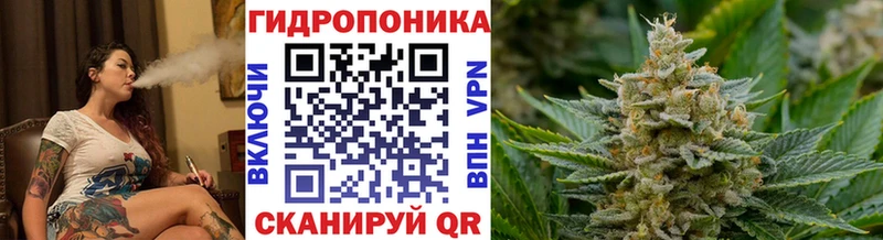 купить закладку Пикалёво МАРИХУАНА планчик